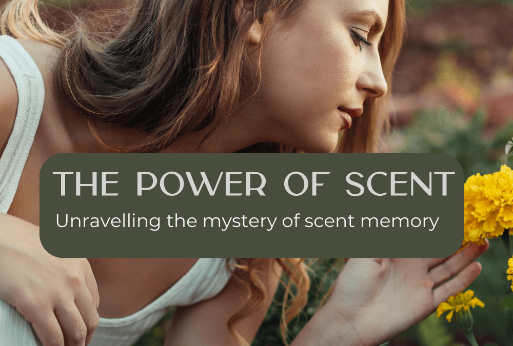 The Power of Scent | Unravelling the mystery of scent memory